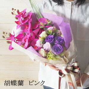 \[vt[ ԑ 傫TCY  5399~` a LO ސE \  j JXj JƏj  t[\[v  Mtg [Y o u[P S  Ӓ  Ђ