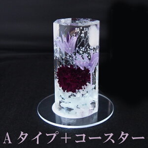 dp NX^n[oE  1 2,990~`n 傤傤 j[ p ͂イ z dp   1d ފ ~ ~  ybg ̋  e o