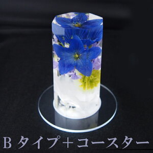 dp NX^n[oE  1 2,990~`n 傤傤 j[ p ͂イ z dp   1d ފ ~ ~  ybg ̋  e o
