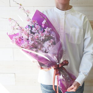 ق̂荁 ̉ԑ 1 J ̍  TN u[P tOX A[eBtBVt[  j JXj JƏj Vzj Ԃɋ߂ ؂ ϗtA v