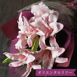 郆̉ԑ 1 JTuJ IG^[ 郆 S    Mtg v[g a j ACj JXj җj ̓ hV̓   LO 