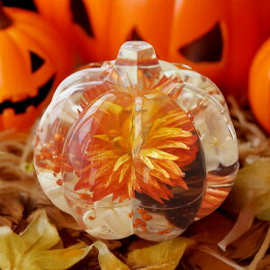 Ԃ̃WbNI[^ 1 CeA ڂ^ n[oE a7cm×7cm  IW t[Mtg nEB NX^n[oE