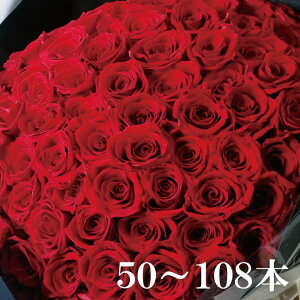 ���D���Ȗ{���őI�ׂ�ԑ� �v���U�[�u�h�t�����[ 19,500�~�` ���[�Y �o�� 50�`108�{ �v���|�[�Y �L�O�� �����j�� �a���� ��̓� �M�t�g �v���[���g �Ԃ��o�� �ԃM�t�g