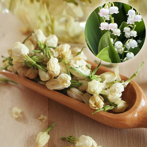 Ԓ 1,300~` WX~ XY@u[[^X @ J[lV O hCt[ t[eB[ n[ueB[ nX ڂ mJtFC  @ eԒ e