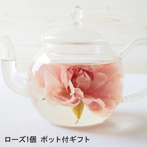 ܂邲1փ[YeB[ KN ލ LPA [Y̍ eB[|bg v[g a j    pI  ݕ   Ԓ t[eB[ KXeB[