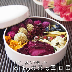 Ԃ̂̕Ί 1 e GCWOPA KN ލ G lGt J[l[V ~c}^ @ e Jf o^tCs[ g ̓ Mtg t[eB[ n
