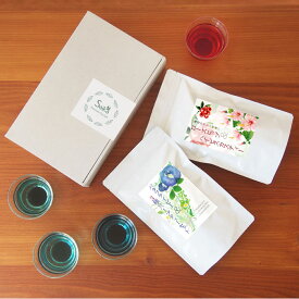 彩香のプレミアム ティーギフト1個 フルーツティーor ハーブティー お茶 ノンカフェイン ラッピング済み ギフトセット リラックス 癒し 美容 健康 おしゃれ 可愛い 贈り物 アイスティー ローズヒップ ドライフルーツ バタフライピー ペパーミント カモミール お茶ギフト