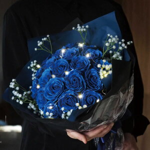 \[vt[ u[[Y ԑ 20{ ԑ LEDCgt l 20 a j v[g  KN JX~\E Mtg