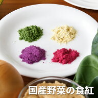 在庫限り終了 国産野菜の天然食紅 スティック 4色×2本セット 野菜100% 天然色素 ビーツ 紫芋 万次郎かぼ…