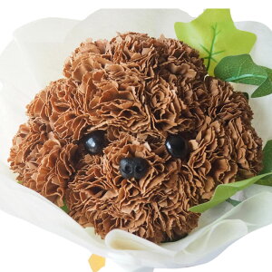 Aj}u[P v[h p_  \[vt[ ԑ Mtg a LO  u[P