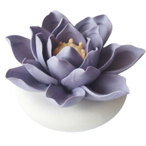 t[fBt[U[1 A}Xg[ @ Ԍ^ u^   gC Q  bNX  E 퐻 Z~bN F dsv dCsv