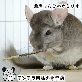 【新商品】国産りんごのかじり木 100g チンチラのかじり木 よくかじる歯のケア用 新鮮な岩手県産りんごのかじり木 日本産 リンゴ 林檎 チンチラ グッズ【Sサイズ/スリム】【Mサイズ/中枝】【Lサイズ/太枝】【動画あり】