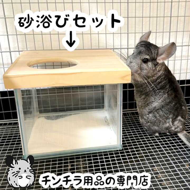 楽天市場】チンチラの砂浴びセット チンチラもふもふ共和国オリジナル 