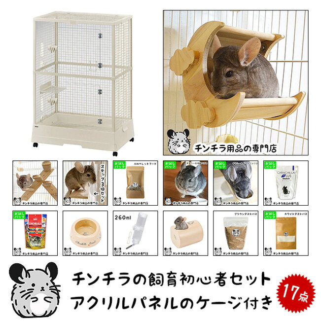 楽天市場 | チンチラもふもふ共和国 - 専門店が選んだ！チンチラの飼育 