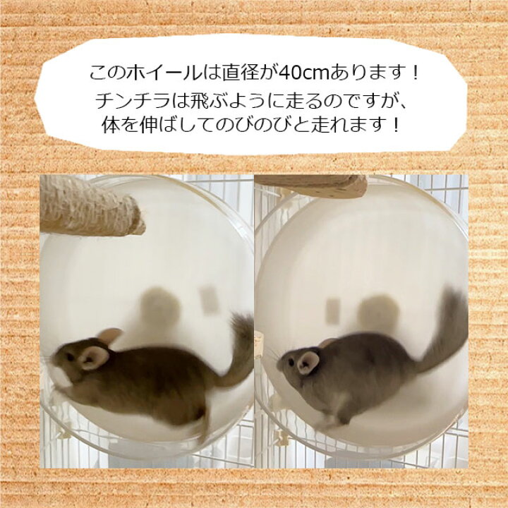 楽天市場】SANKO サイレントホイール フラット40 特大サイズの回し車  