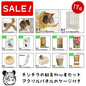 yX[p[SALEʉiz``̎珉S҃Zbg02 ``̎p悭P[WƊ{̎piZbg uGEX NAtg70Highv ``17_Zbg ߂Ă̎