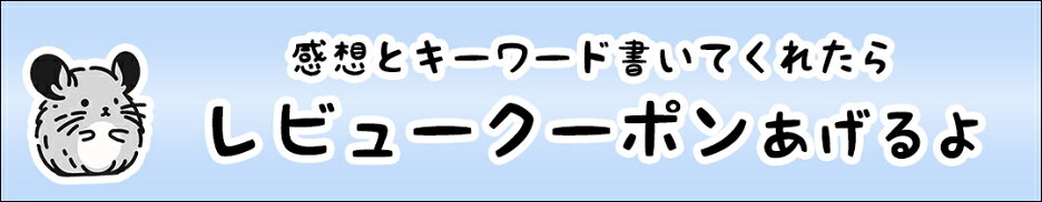 レビューキャンペーン