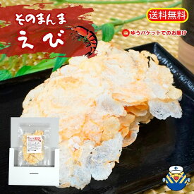 ★お試し規格★そのまんまえび 15g×1袋★送料無料 サクッとしっとり新食感 新鮮なえびをそのまんま 高温高圧でプレス 工場直送 送料無料 毎日食べる シリーズ累計1200万食突破 おやつ お茶うけ おつまみ 珍味 まとめ買い オカベ