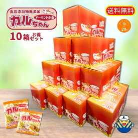 カルちゃんアーモンド小魚 6gx20p 10箱セット★当店No.1商品★ヤマト運輸でのお届け★ 送料無料★ラッピング＆袋無料★ 工場直送 ★ 小分け包装 おやつ カルシウム EPA DHA オカベ おつまみ★ちょっぴり差し入れ★おみやげ★ヘルシースナッキング★