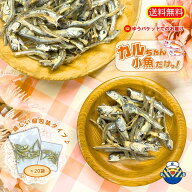 【小魚だけ！】小袋が嬉しい !大人気商品 カルちゃん 小魚だけ の 通販限定企画 ゆうパケットでお届け ア…