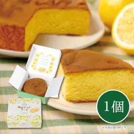 【メーカー直送】しいの食品 湘南ゴールドケーキ 手土産 お土産 ケーキ 湘南ゴールド オレンジ お取り寄せ