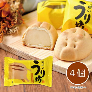 y[J[z̐HîV(~No^[\) 4 \ ܂񂶂イ  yY V  _ސ 