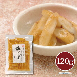 y[J[z~ڂ 120g Е т̂ ܂ 