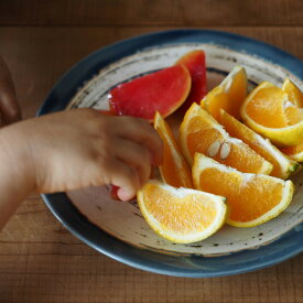 [直営店] 送料無料 艶釉の器 プレートM 日本製 美濃焼 陶器 中鉢 パンとごはんと... 菱沼未央さん M38