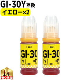 キャノン用 GI-30 イエロー 2本セット 互換インクボトル 内容： GI-30Y-BT 機種： G7030 G6030 G5030