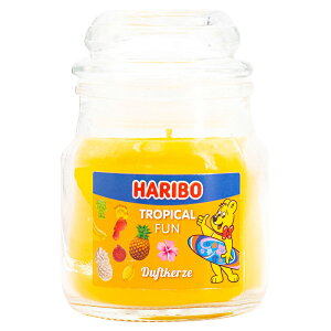 y1Pő24{10%N[|zzz n{[Lh HARIBO Candle Lh SW[ A}Lh tOXLh A} v[g  j Mtg 蕨 CO 
