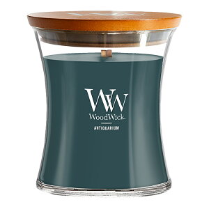 yƍ蕨Ɂz WoodWick EbhEBbN A}Lh MTCY Ki Iׂ^Cv Lh A} 낤 E\N tOX Mtg p`p`   