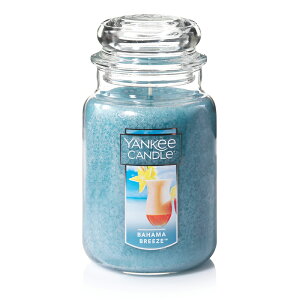 y1Pő24{z L[Lh YANKEE CANDLE Lh W[L A}Lh 傫߃TCY tOXLh Lh A} v[g  j Mtg 蕨  