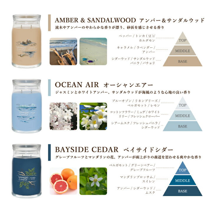 楽天市場】ヤンキーキャンドル YANKEE CANDLE キャンドル シグネチャー 