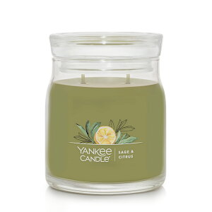 �y�G���g���[�ŕK��P10�{�z �����L�[�L�����h�� YANKEE CANDLE �L�����h�� �V�O�l�`���[ �W���[M �A���}�L�����h�� ���肪�L����₷��2�{�c �t���O�����X�L�����h�� �L�����h�� �A���} �v���[