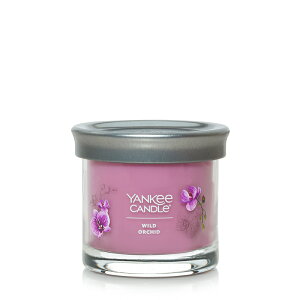y1Pő24{z L[Lh YANKEE CANDLE Lh VOl`[^u[ S A}Lh tOXLh Lh A} v[g  j Mtg 蕨 