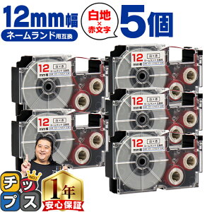 y1Pő24{10%N[|zzz JVIp l[h XR-12WER  ԕ 12mm (e[v) ×5Zbg CASIOp ݊e[v