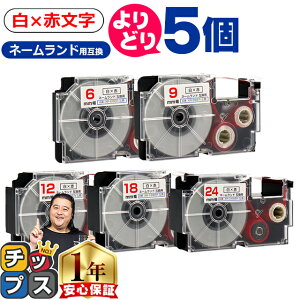 yő777~ItN[|ő100%|CgobNz RI5 JVIp l[h XRWER  ԕ 6mm/9mm/12mm/18mm/24mm (e[v) CASIO ݊e[v