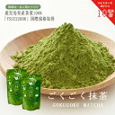【エントリーで最大ポイント10倍！】2袋セット 抹茶 粉末 パウダー ランキング3冠 ごくごく抹茶 100g 鹿児島県産 無糖…