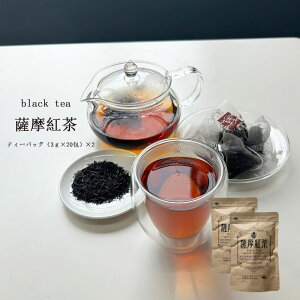 g Fg eB[obO 2܃Zbg(3g×20) ^O Y Ysgp  eB[pbN Yg  Xg[geB[ ubNeB[ ACXeB[  g black 