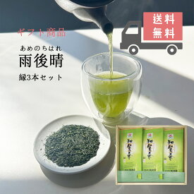 お茶 鹿児島茶 ギフト 茶葉 知覧茶 縁 100g 3本詰め合わせ 送料無料 お茶の沢田園 沢田園 お歳暮 お中元 母の日 父の日 敬老の日 鹿児島県産 鹿児島茶 緑茶 日本茶 添加物不使用 贈り物 返礼品 お土産 法事 引出物 産地直送 煎茶 プレゼント 送料無料 熨斗