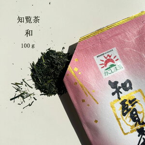 お茶 茶葉 知覧茶 和 なごみ 100g 送料無料 鹿児島県産 ちらん茶 かごしま茶 鹿児島茶 お茶の沢田園 煎茶 緑茶 お茶 カテキン ギフト 贈り物 お中元 お歳暮 返礼品 手土産 日本茶 茶葉 プレゼン