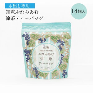 mՂ݂ޗeB[obO op ⒃ m Β  y 14