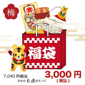 楽天市場 福袋 生活雑貨 日用品雑貨 文房具 手芸 の通販