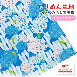 y󒍐Yiz߂񐶒n k nhCh ޗ [IC ߂񐶒n100cm×100cm JGƎz] y2_܂Ń[OKz ~J 6 nhCh n NX ߂񐶒n