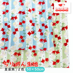 y󒍐Yiz߂񐶒n k nhCh ޗ [IC ߂񐶒n50cm×50cm ċ] y8_܂Ń[OKz  nhCh n NX ߂񐶒n k IWi