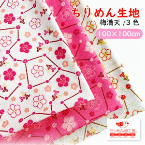 y󒍐Yiz߂񐶒n k nhCh ޗ mIC ߂񐶒n100cm×100cm ~Vn nhChLbg |n NX ߂񐶒n k IWi n z 