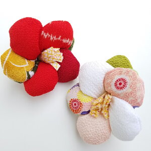 ߂׍H Lbg ߂ p[c  [G߂̂ ցij]  fBXvC CeA ߂׍H  sN   Y ߂  nhCh  蕨 Ԍ