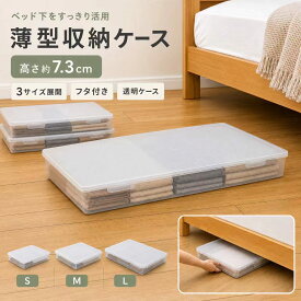 薄型収納ケース キャスター付き ベッド下収納 収納ボックス 蓋付き プラスチック 衣装ケース 衣類収納 すき間収納 おもちゃ ランドリー