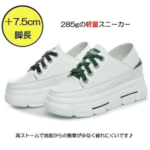 �y�� ���� �C���q�[�� �X�j�[�J�[ ���f�B�[�X 20cm�`25cm �傫���T�C�Y ���� ���Ȃ� ���y�� �E�F�b�W�\�[��