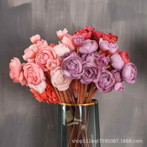 ���� �~�j�o�� �ԑ� ���� �A�[�g�t�����[ �C���e���A �B�e���� �Ĕ��F ��g�F ���F �H�k�F �X��F �H���F